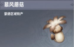 原神慕风蘑菇哪里多 原神慕风蘑菇采集地点 原神慕风蘑菇哪里多 原神慕风蘑菇采集地点
