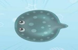 摩尔庄园魟鱼在哪钓 摩尔庄园魟鱼怎么获得 摩尔庄园魟鱼在哪钓 摩尔庄园魟鱼怎么获得