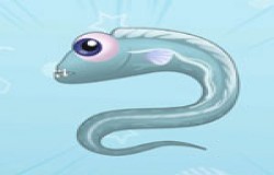 摩尔庄园带鱼在哪钓 摩尔庄园带鱼怎么获得 摩尔庄园带鱼在哪钓 摩尔庄园带鱼怎么获得