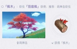 原神枫木在哪采集 原神枫木采集路线推荐 原神枫木在哪采集 原神枫木采集路线推荐