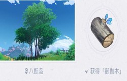 原神御伽木在哪采集 原神御伽木采集路线推荐 原神御伽木在哪采集 原神御伽木采集路线推荐